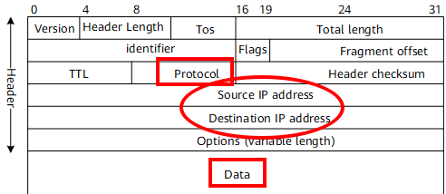 Internet Packet Breakdown